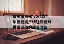 延安城市建投2023年债权资产转让政府城投债定融的简单介绍