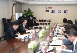 中联煤层气有限责任公司(中联煤层气有限责任公司总经理)