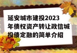 延安城市建投2023年债权资产转让政信城投债定融的简单介绍