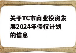 关于TC市商业投资发展2024年债权计划的信息