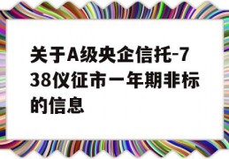 关于A级央企信托-738仪征市一年期非标的信息