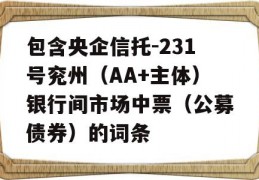 包含央企信托-231号兖州（AA+主体）银行间市场中票（公募债券）的词条