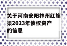 关于河南安阳林州红旗渠2023年债权资产的信息