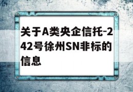 关于A类央企信托-242号徐州SN非标的信息