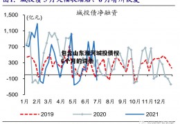 包含山东潍河城投债权6个月的词条