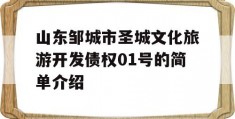 山东邹城市圣城文化旅游开发债权01号的简单介绍