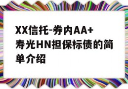 XX信托-券内AA+寿光HN担保标债的简单介绍