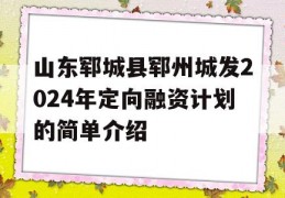 山东郓城县郓州城发2024年定向融资计划的简单介绍