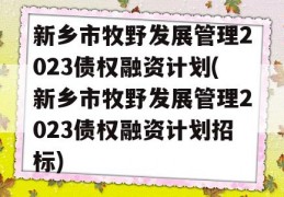 新乡市牧野发展管理2023债权融资计划(新乡市牧野发展管理2023债权融资计划招标)