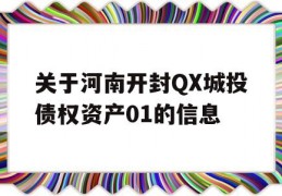 关于河南开封QX城投债权资产01的信息