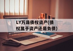 LY万晟债权资产(债权属于资产还是负债)