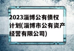 2023淄博公有债权计划(淄博市公有资产经营有限公司)