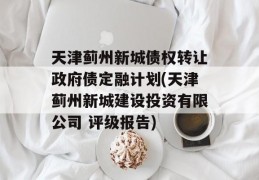 天津蓟州新城债权转让政府债定融计划(天津蓟州新城建设投资有限公司 评级报告)