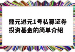 鼎元进元1号私募证券投资基金的简单介绍