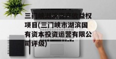 三门峡湖滨资产收益权项目(三门峡市湖滨国有资本投资运营有限公司评级)