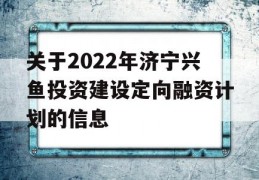 关于2022年济宁兴鱼投资建设定向融资计划的信息