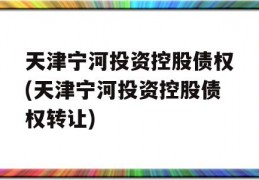 天津宁河投资控股债权(天津宁河投资控股债权转让)