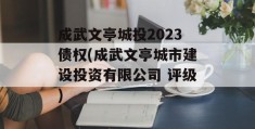 成武文亭城投2023债权(成武文亭城市建设投资有限公司 评级)