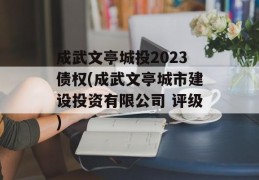 成武文亭城投2023债权(成武文亭城市建设投资有限公司 评级)