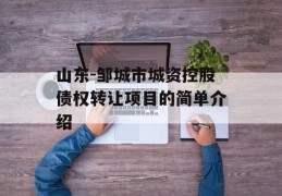 山东-邹城市城资控股债权转让项目的简单介绍