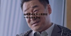 山东荣成水发公用债权一号的简单介绍