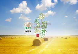 中农(中农威特生物科技股份有限公司)