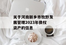 关于河南新乡市牧野发展管理2023年债权资产的信息