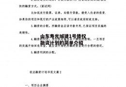 山东寿光城建1号债权融资计划的简单介绍