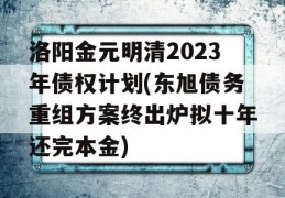 洛阳金元明清2023年债权计划(东旭债务重组方案终出炉拟十年还完本金)