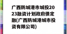 广西防城港市城投2023融资计划政府债定融(广西防城港城市投资有限公司)