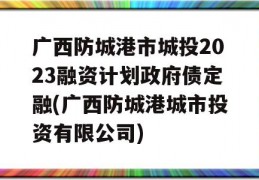 广西防城港市城投2023融资计划政府债定融(广西防城港城市投资有限公司)