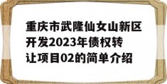 重庆市武隆仙女山新区开发2023年债权转让项目02的简单介绍