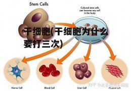 干细胞(干细胞为什么要打三次)