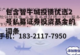 包含智牛城投债优选2号私募证券投资基金的词条