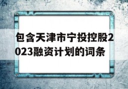 包含天津市宁投控股2023融资计划的词条