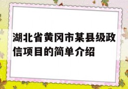 湖北省黄冈市某县级政信项目的简单介绍