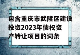 包含重庆市武隆区建设投资2023年债权资产转让项目的词条