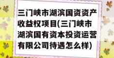 三门峡市湖滨国资资产收益权项目(三门峡市湖滨国有资本投资运营有限公司待遇怎么样)