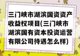 三门峡市湖滨国资资产收益权项目(三门峡市湖滨国有资本投资运营有限公司待遇怎么样)