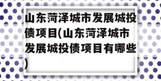 山东菏泽城市发展城投债项目(山东菏泽城市发展城投债项目有哪些)