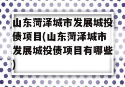 山东菏泽城市发展城投债项目(山东菏泽城市发展城投债项目有哪些)