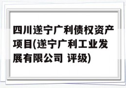 四川遂宁广利债权资产项目(遂宁广利工业发展有限公司 评级)