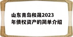 山东青岛和晟2023年债权资产的简单介绍