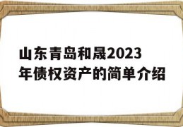 山东青岛和晟2023年债权资产的简单介绍