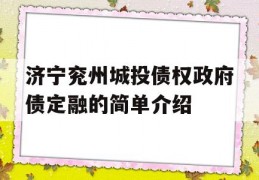 济宁兖州城投债权政府债定融的简单介绍