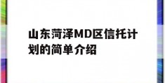 山东菏泽MD区信托计划的简单介绍