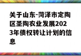 关于山东-菏泽市定陶区圣陶农业发展2023年债权转让计划的信息