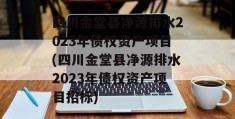 四川金堂县净源排水2023年债权资产项目(四川金堂县净源排水2023年债权资产项目招标)