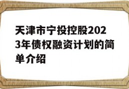 天津市宁投控股2023年债权融资计划的简单介绍