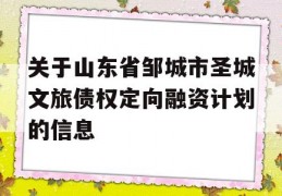 关于山东省邹城市圣城文旅债权定向融资计划的信息